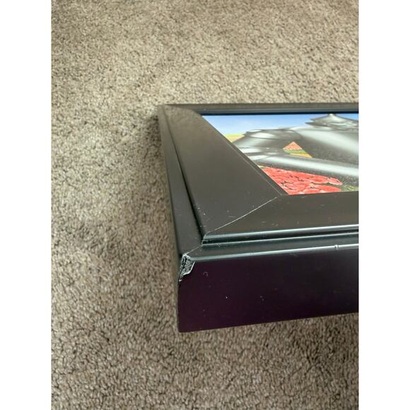 Wizard of Oz Framed Art Panoramic Picture Featuring Dorothy and Friends 39x15 - Picture 9 of 12